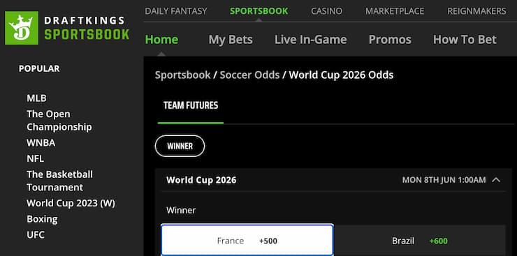 draftkings bet slip