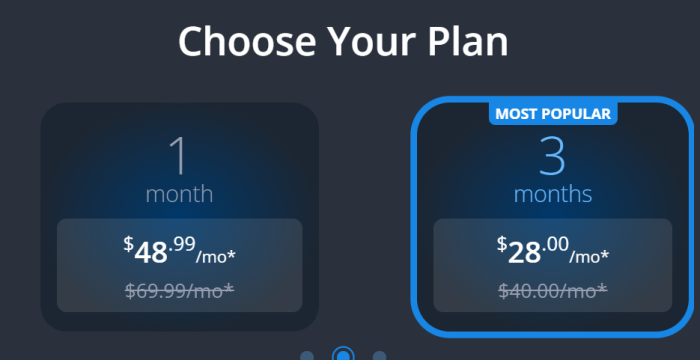 mSpy only offers 2 term-plans