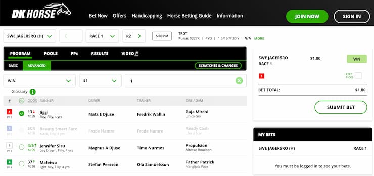 DK horse place a bet