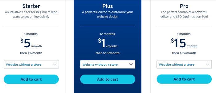 IONOS website builder pricing
