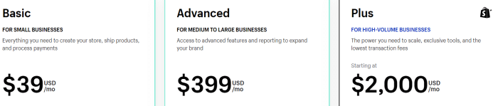Shopify website builder pricing