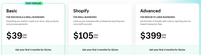 Shopify website builder pricing