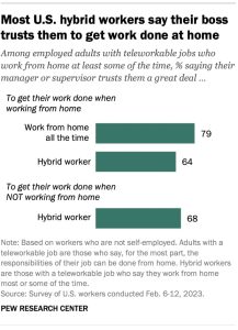 Trust & Job Satisfaction in Remote Work
