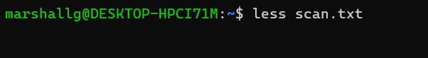 less scan txt command