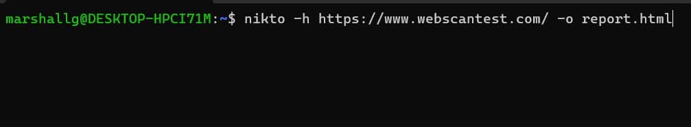 Nikto scanning report command