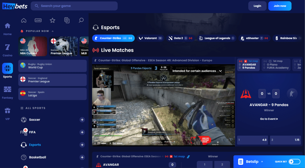 HeyBets Esports Betting