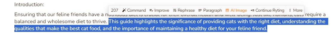 improved text with Rytr