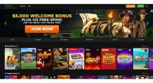 Wild Casino homepage