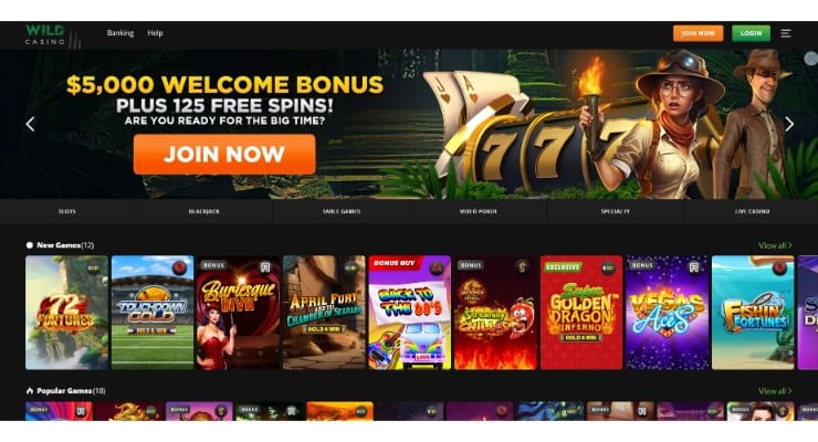 Wild Casino homepage