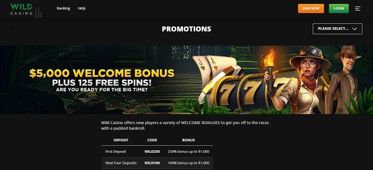 Wild Casino Promotions