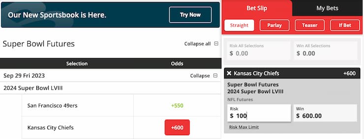 how to bet on the Super Bowl