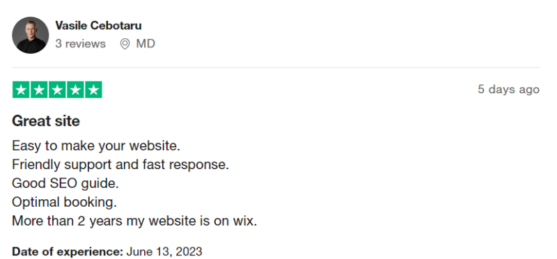 Wix seo review