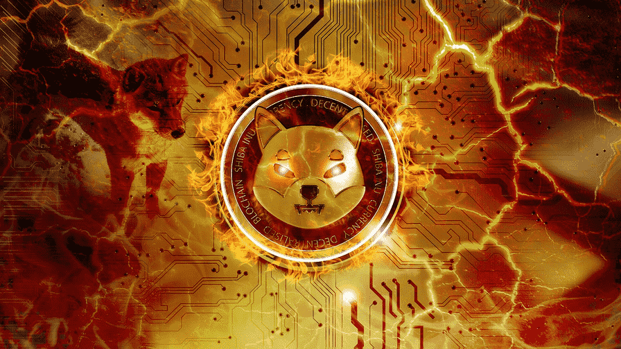 Shiba Inu coin
