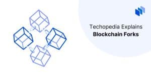 Blockchain Forks