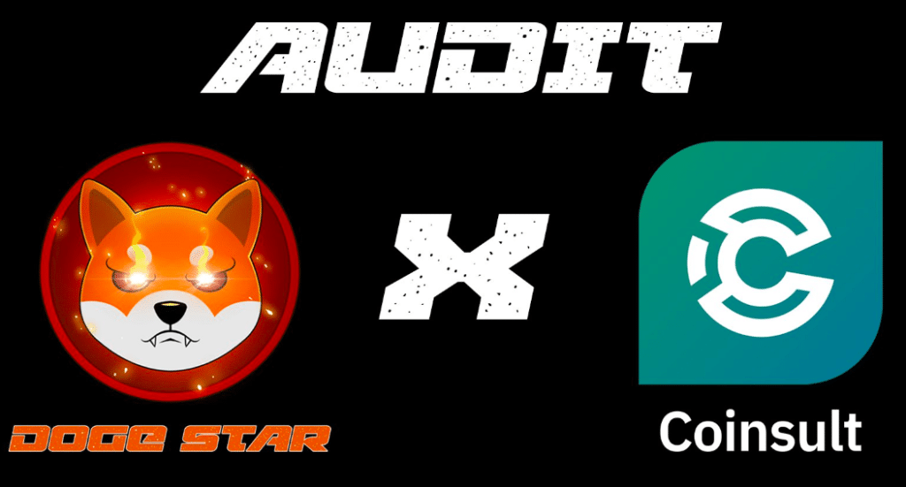 DogeStar smart contract audit