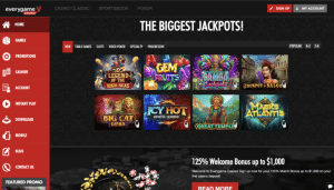 Everygame Visa Casino