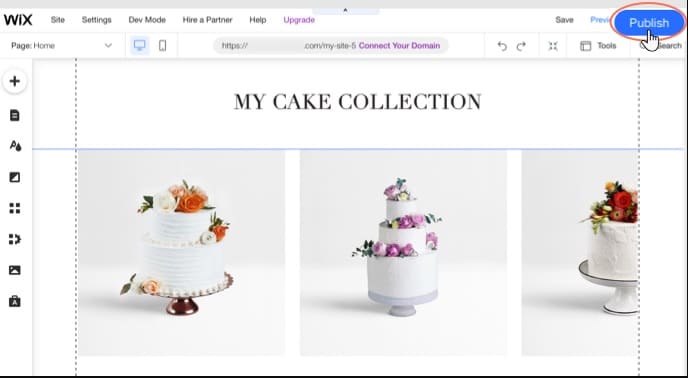Publish website