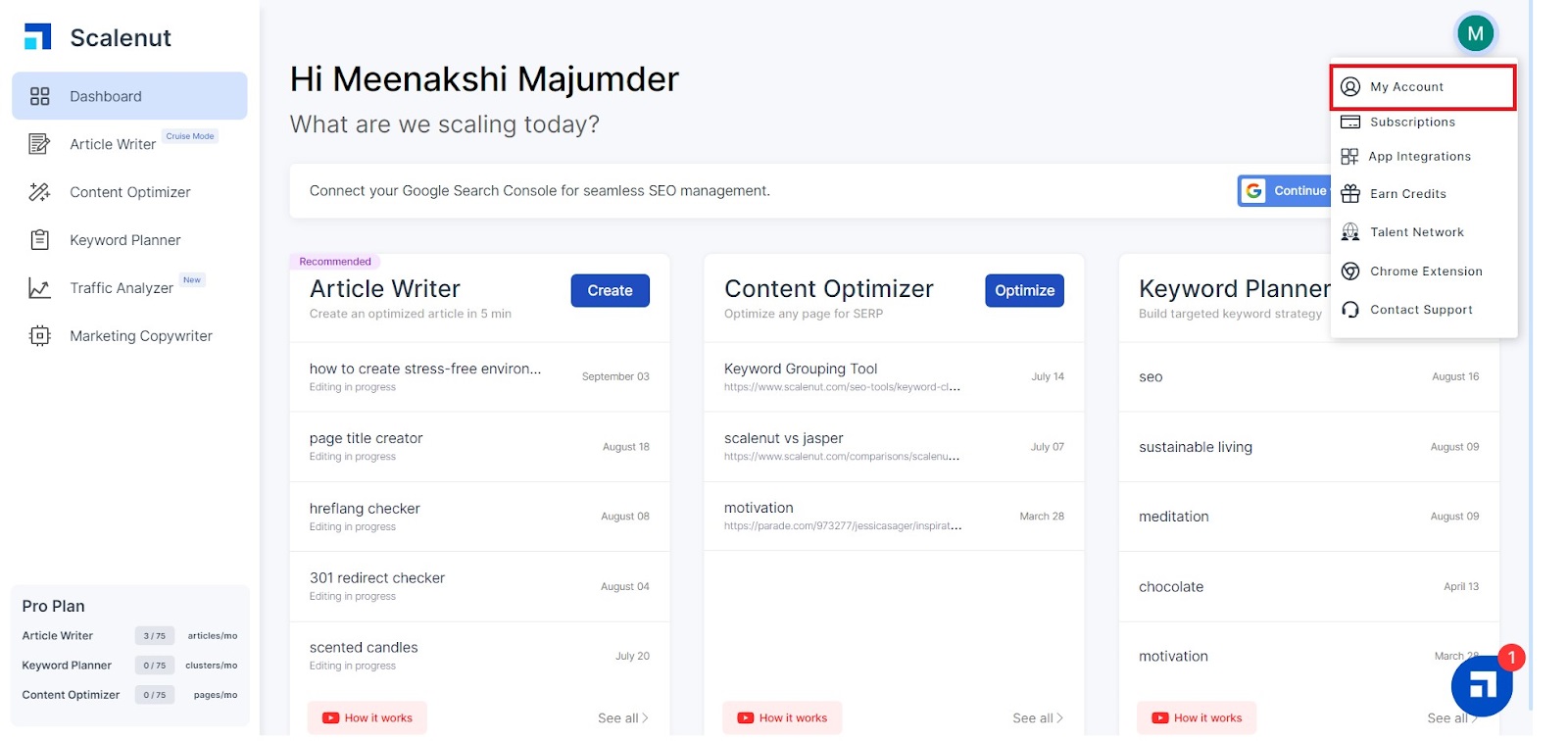 Scalenut dashboard