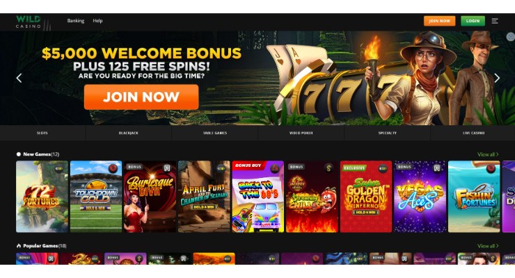 Wild Casino PR homepage