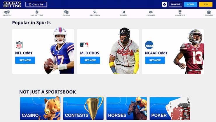 SportsBetting.ag LA Online Gambling