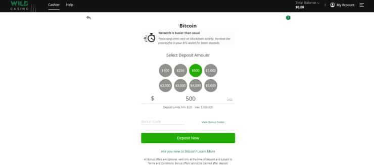 Wild Casino deposit section