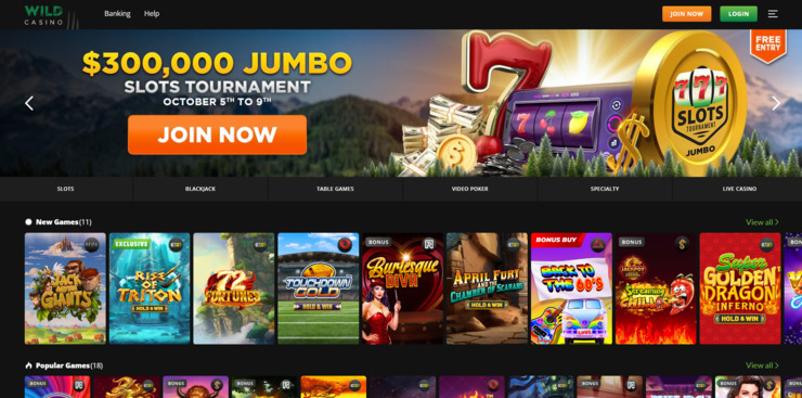 Wild Casino homepage.