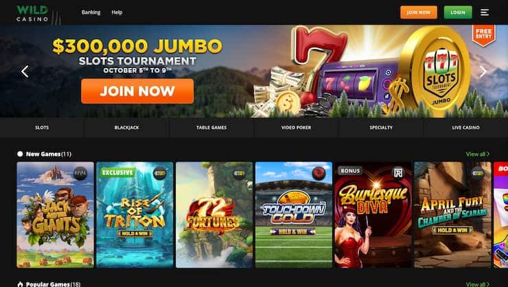 Wild Casino Cash App Casino