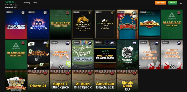 Wild Casino table gaming options.