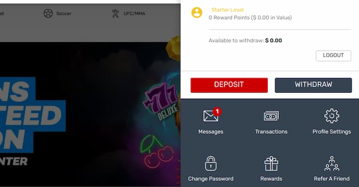 Bovada withdraw option