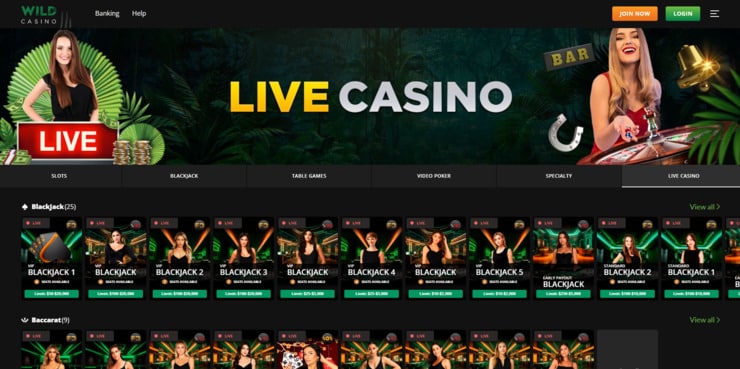 Wild Casino live games selection.