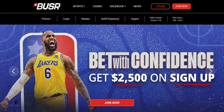 BUSR homepage.