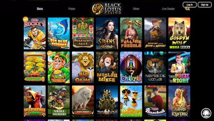 Black Lotus Gift Card Casino