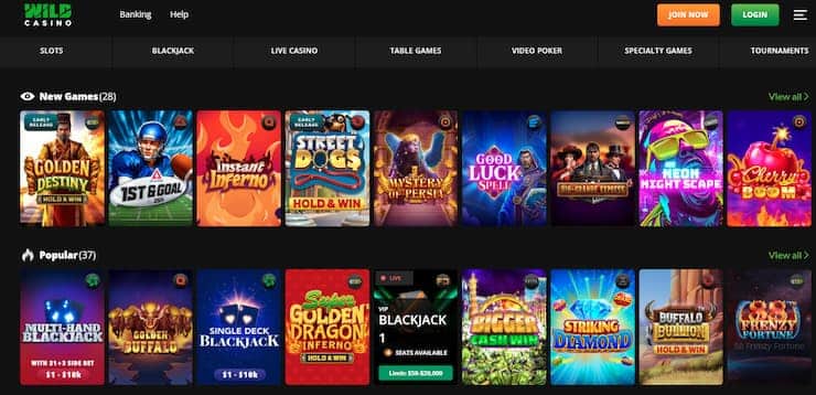 Wild Casino Casino Games Selection