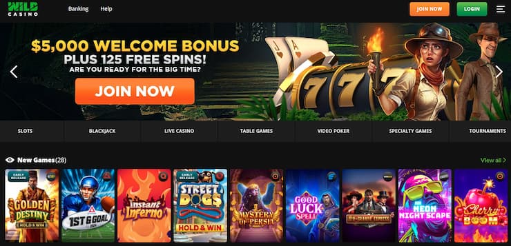 Wild Casino desktop homepage
