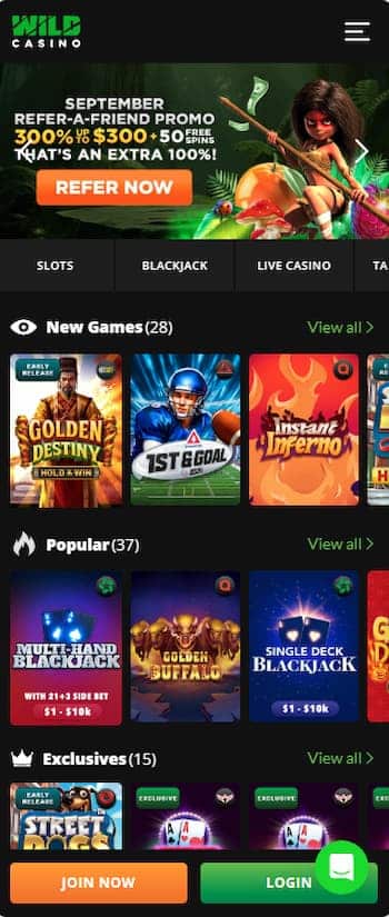 Wild Casino App and Mobile Experience