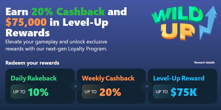 Wild.io Casino VIP Club