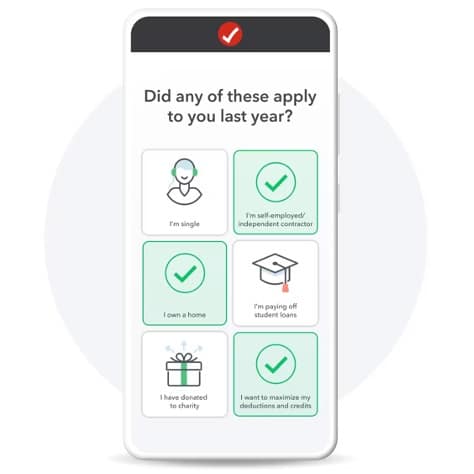 TurboTax-Interface