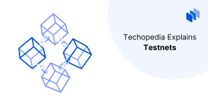 What is a Testnet?