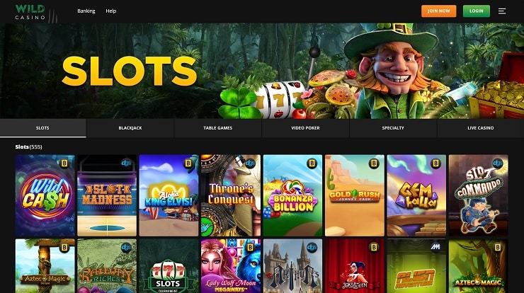 Wild Casino Slots