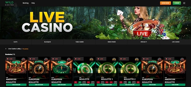 Wild Casino Live Roulette