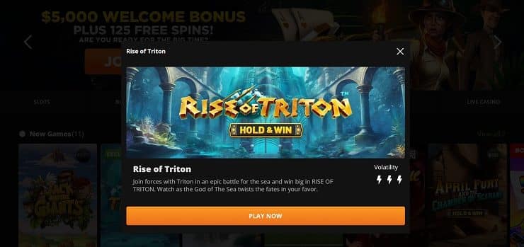 Wild Casino Play Game
