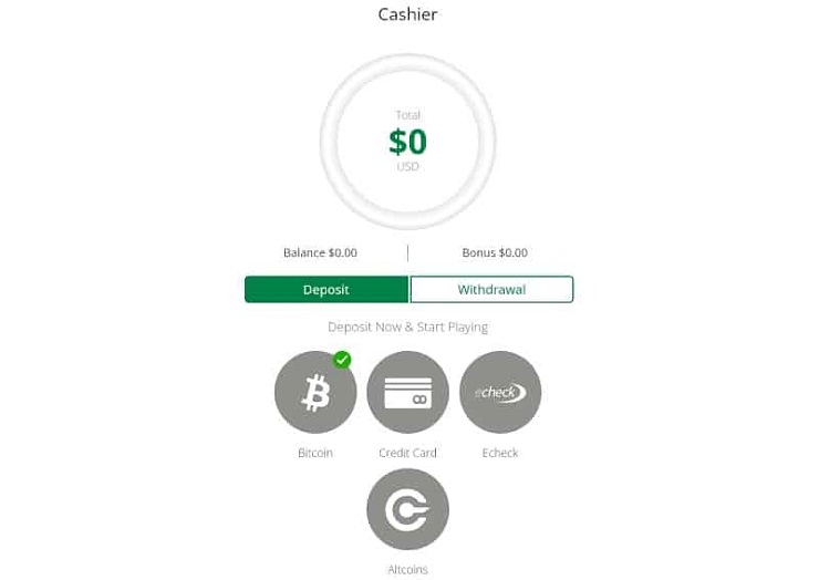 Wild Casino Step 3 Deposit Funds