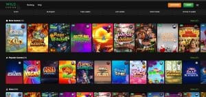 Wild Casino Play Games