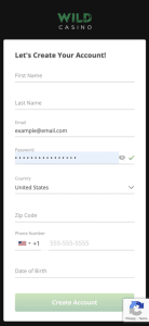 Wild Casino register app