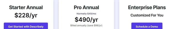 Describely’s pricing