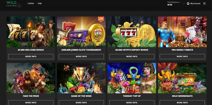 Promo section at Wild Casino