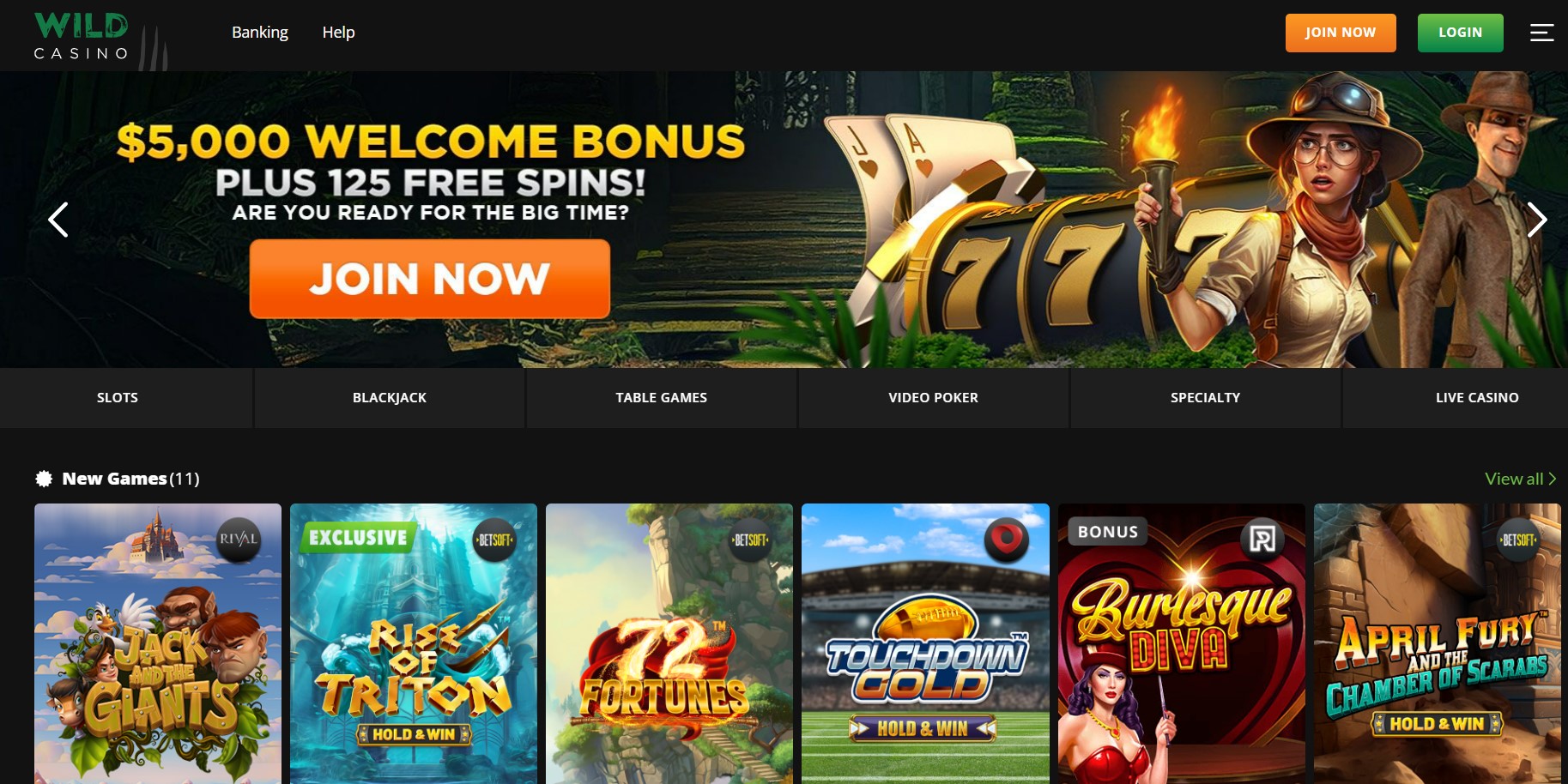 wild casino homepage