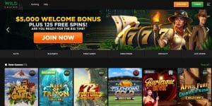 wild casino homepage