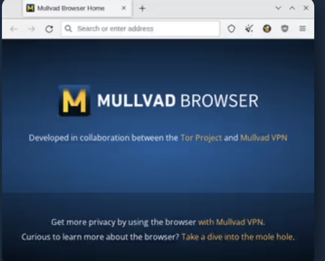 Mullvad's browser extension