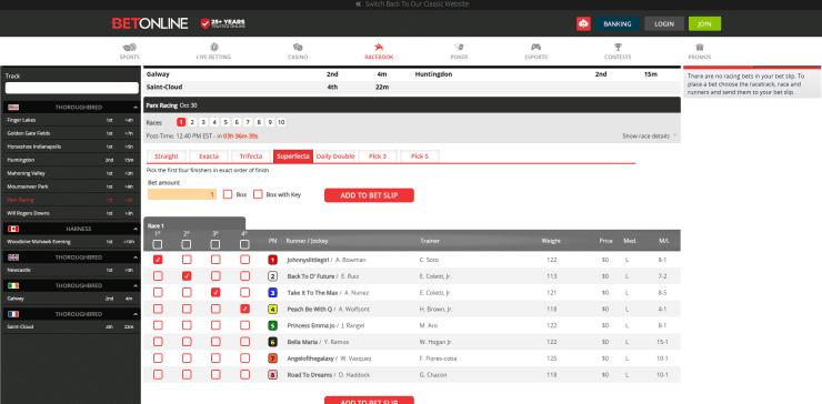 Racebook example at BetOnline.